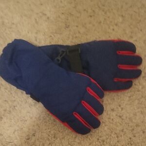 Blue and Red Winter Gloves